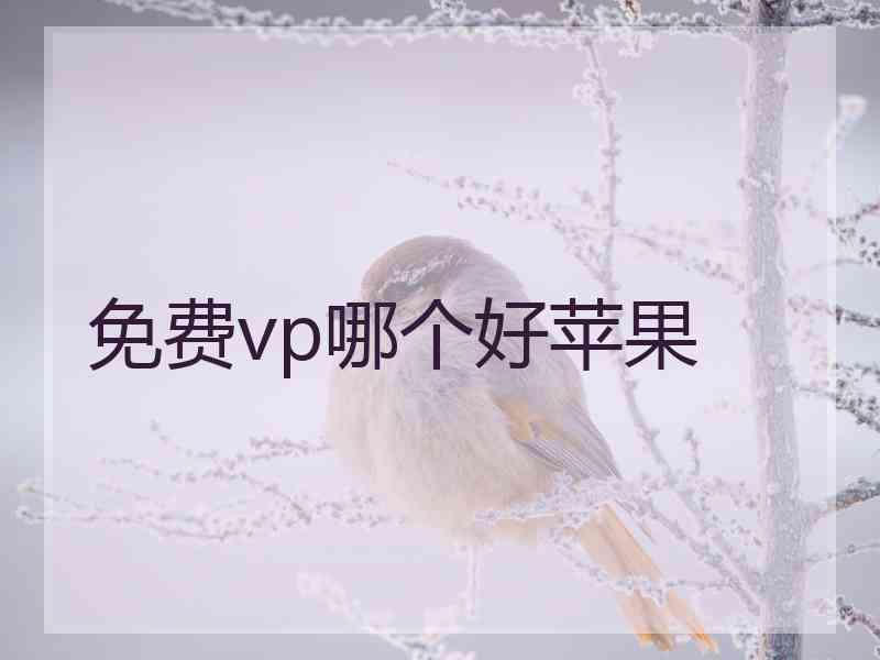 免费vp哪个好苹果