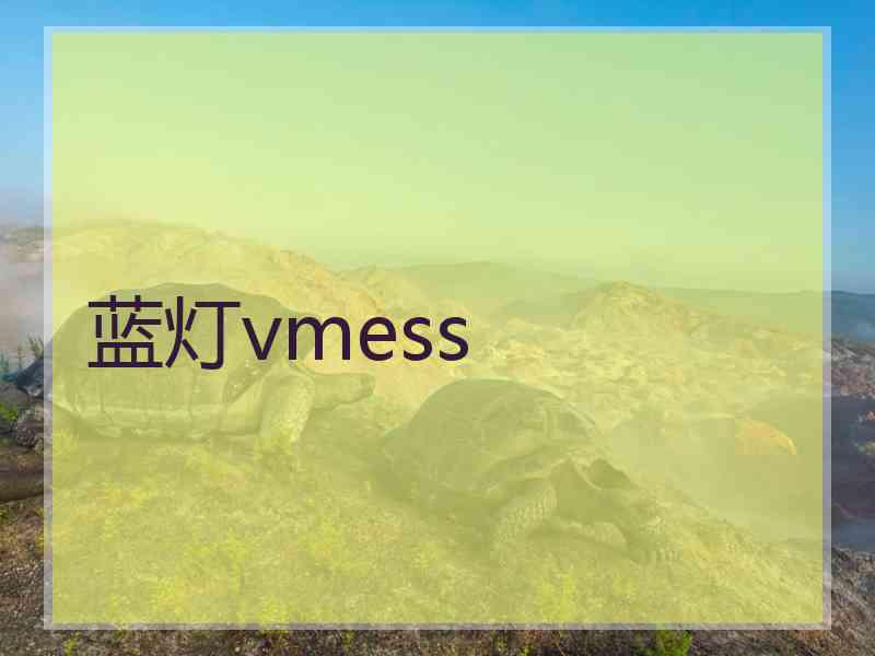 蓝灯vmess
