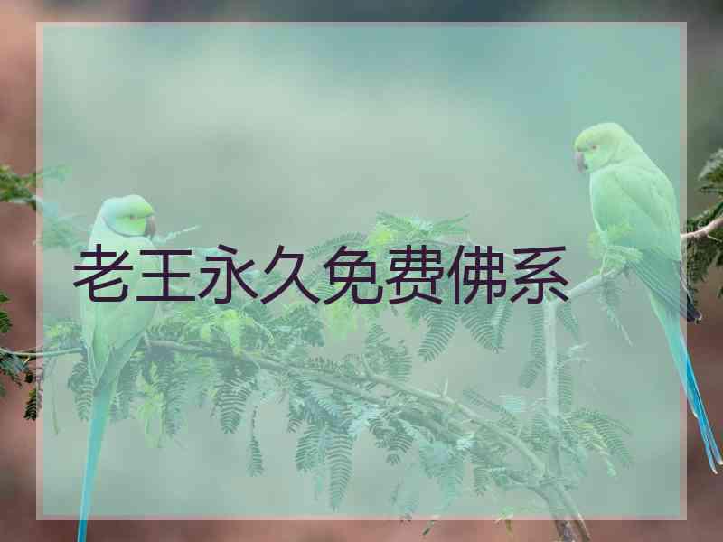 老王永久免费佛系