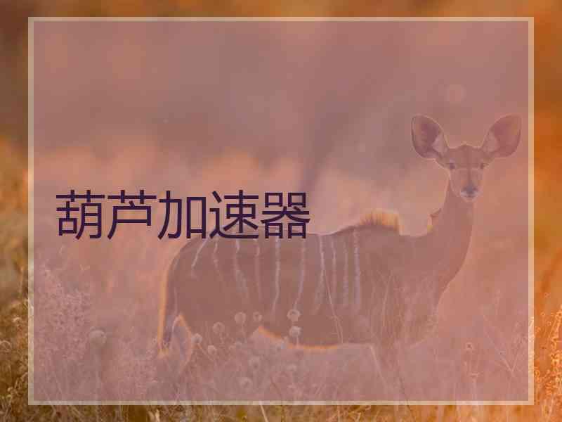 葫芦加速器