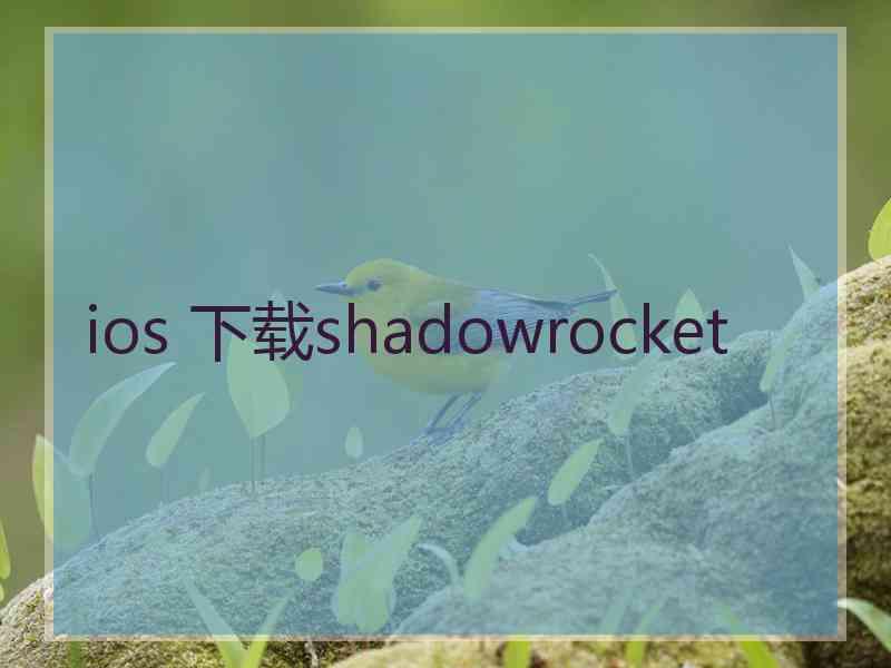 ios 下载shadowrocket