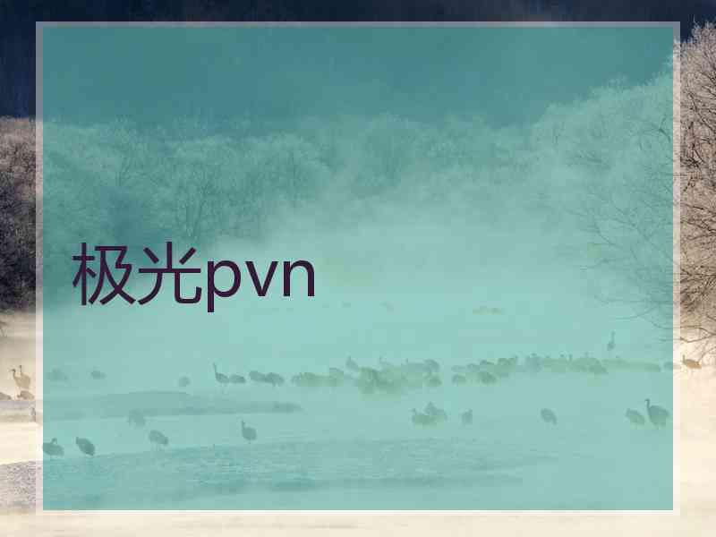 极光pvn