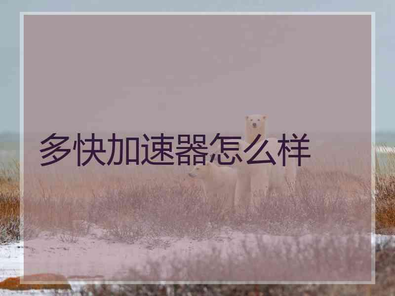 多快加速器怎么样