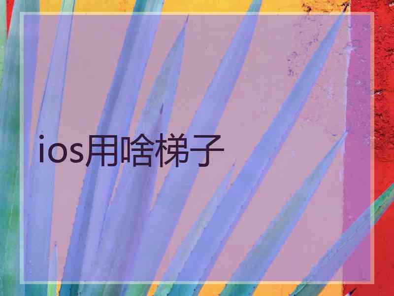 ios用啥梯子