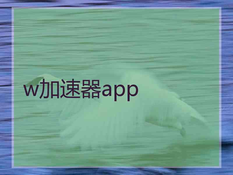 w加速器app