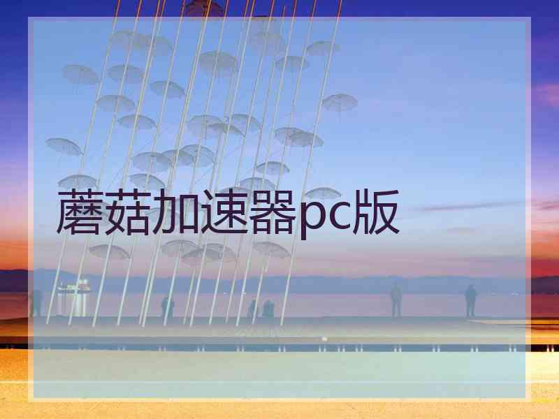 蘑菇加速器pc版