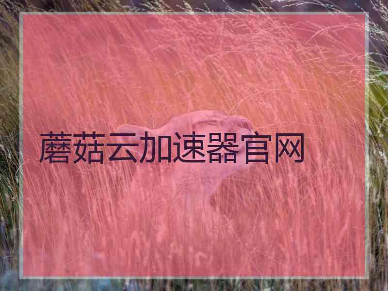 蘑菇云加速器官网