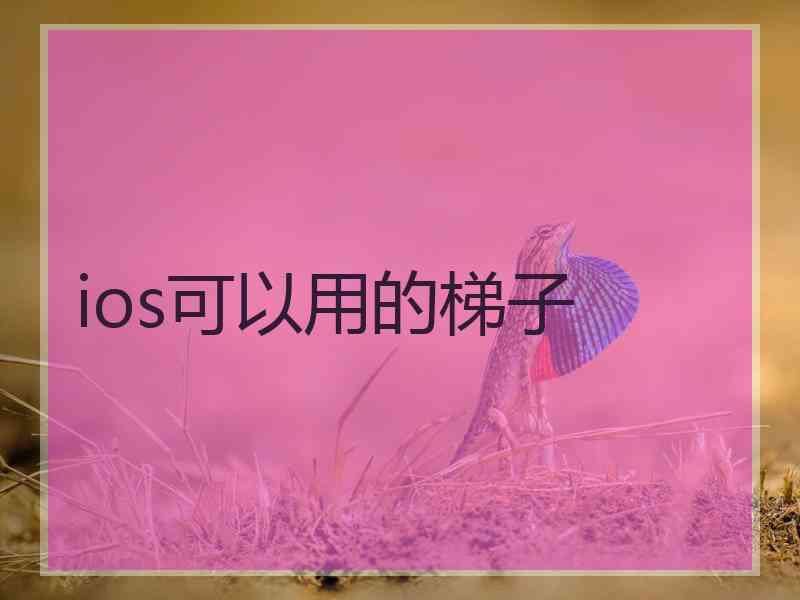 ios可以用的梯子
