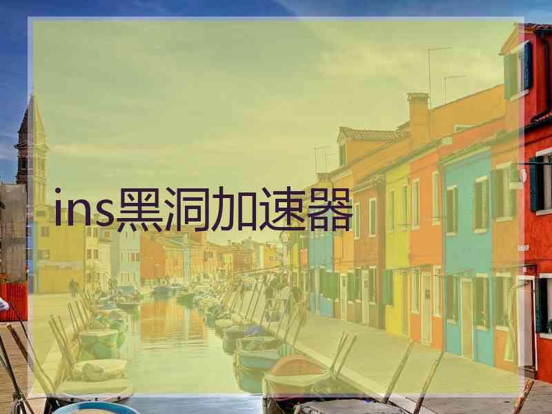 ins黑洞加速器