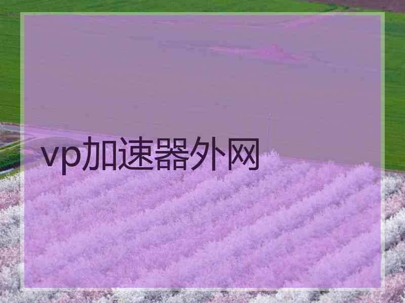 vp加速器外网