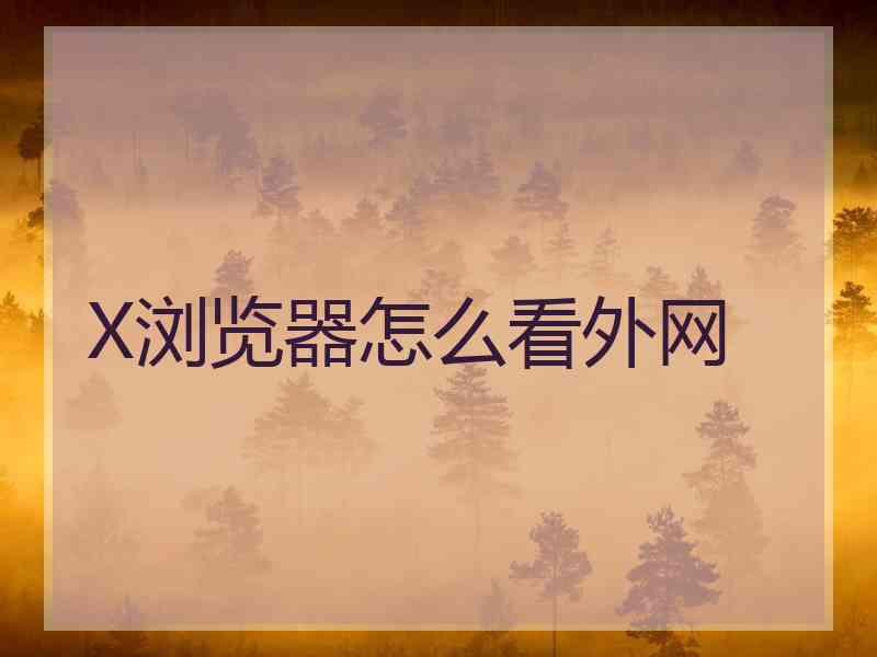 X浏览器怎么看外网
