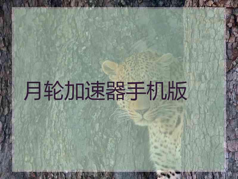 月轮加速器手机版