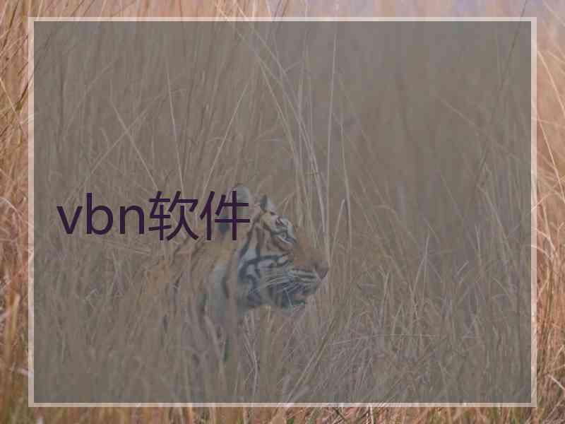 vbn软件