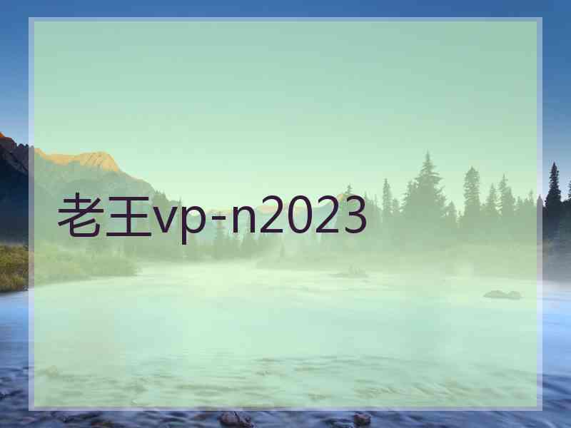 老王vp-n2023