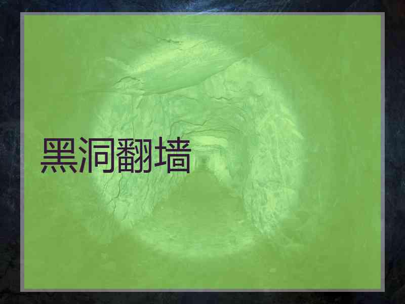 黑洞翻墙