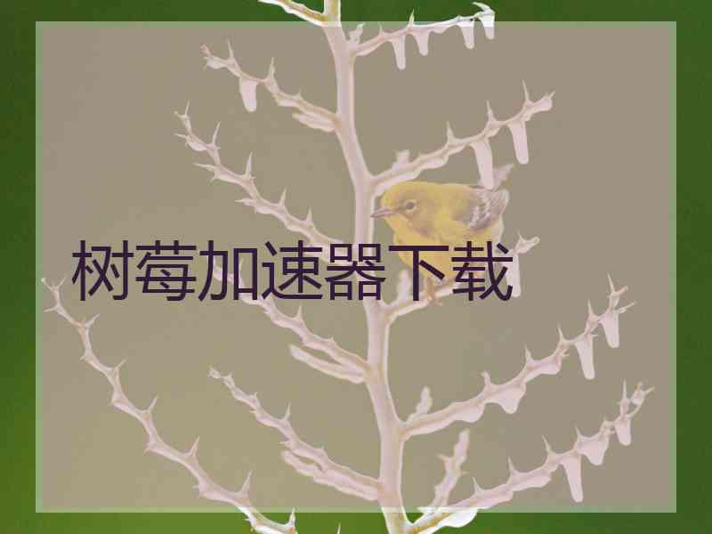 树莓加速器下载