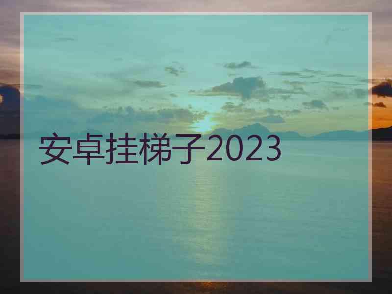 安卓挂梯子2023