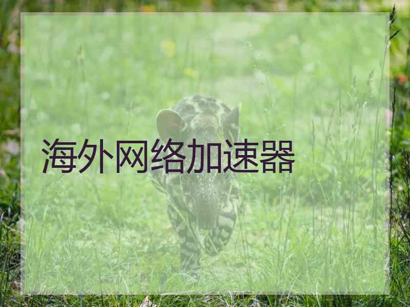 海外网络加速器