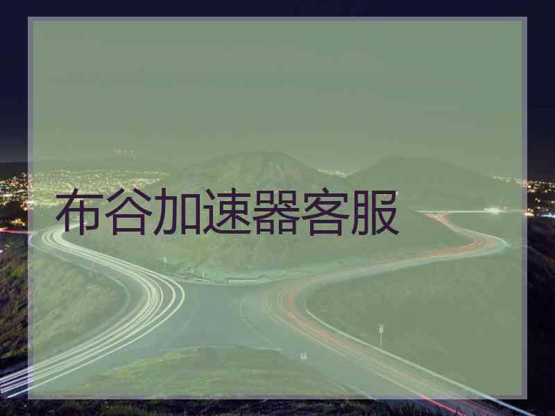 布谷加速器客服