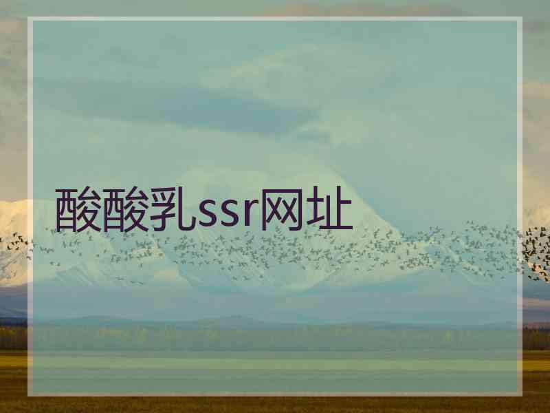 酸酸乳ssr网址