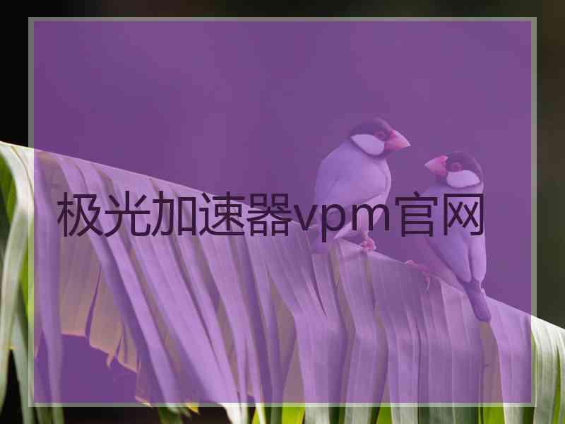 极光加速器vpm官网
