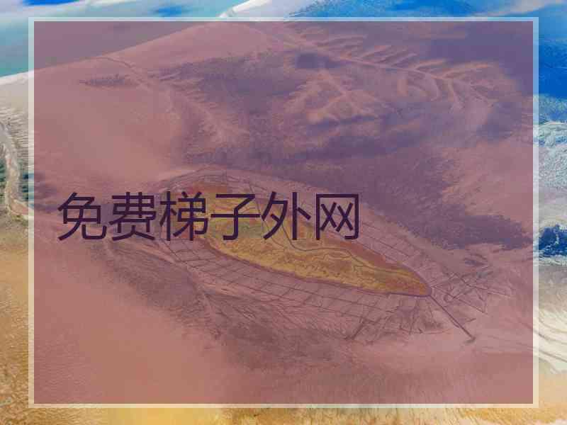 免费梯子外网