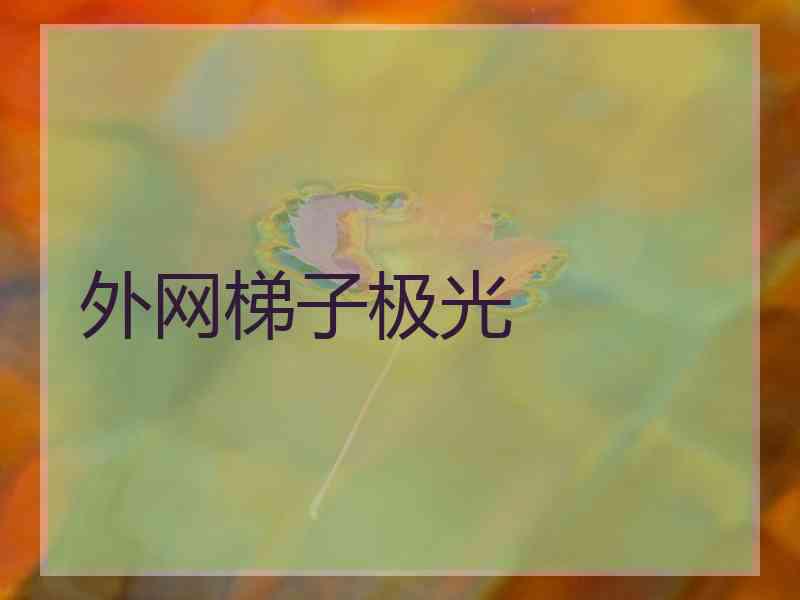 外网梯子极光