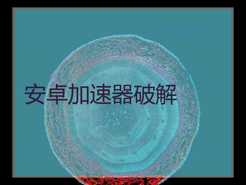 安卓加速器破解