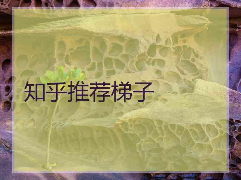 知乎推荐梯子