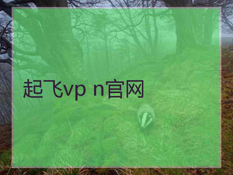 起飞vp n官网