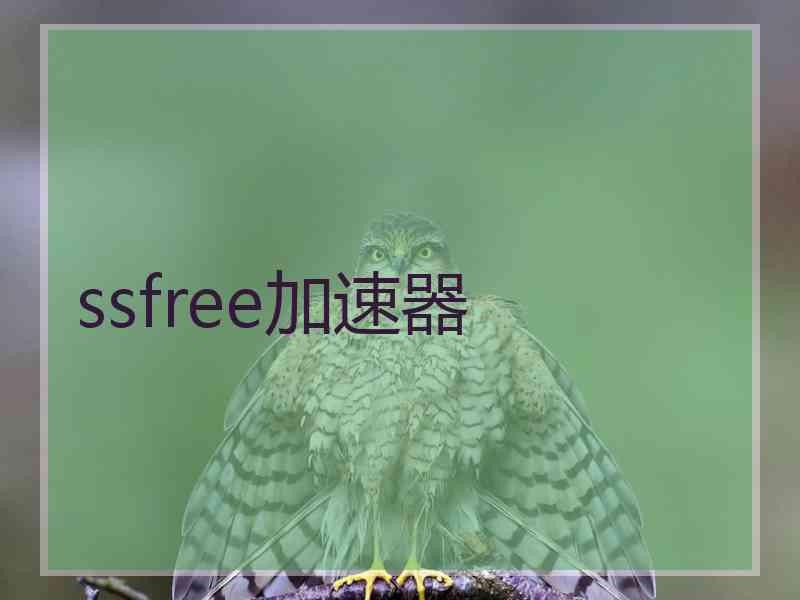 ssfree加速器