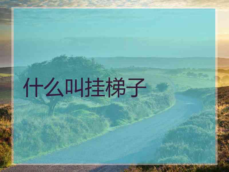什么叫挂梯子