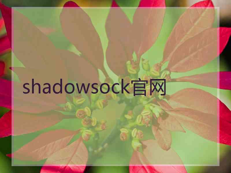 shadowsock官网