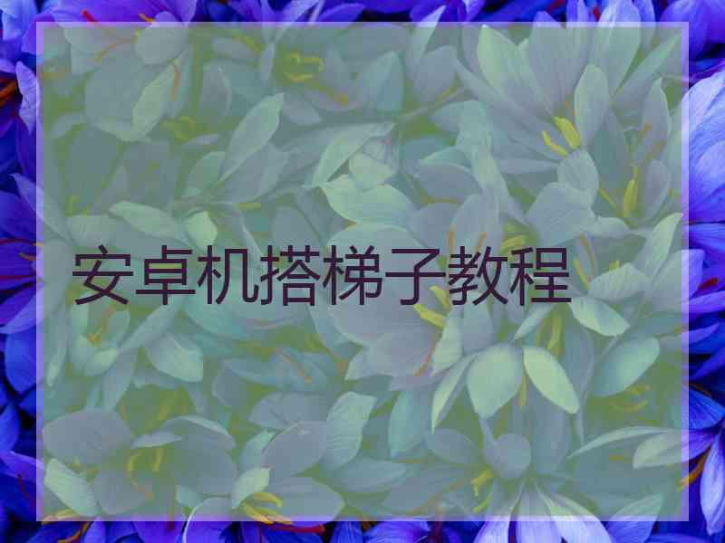 安卓机搭梯子教程