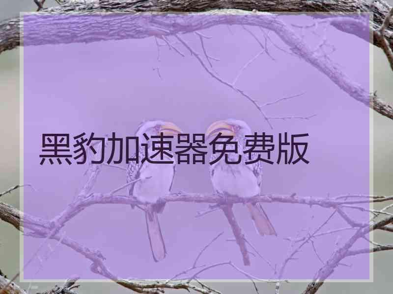 黑豹加速器免费版