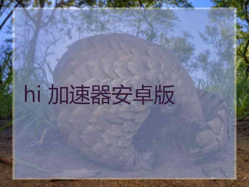 hi 加速器安卓版