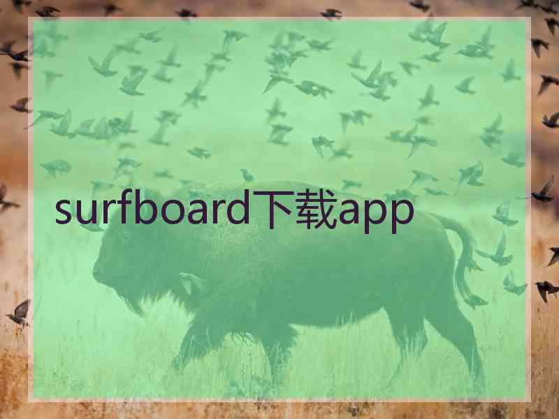 surfboard下载app