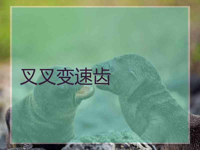 叉叉变速齿