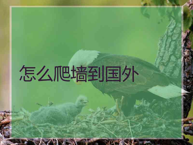 怎么爬墙到国外
