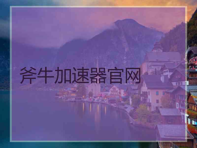 斧牛加速器官网