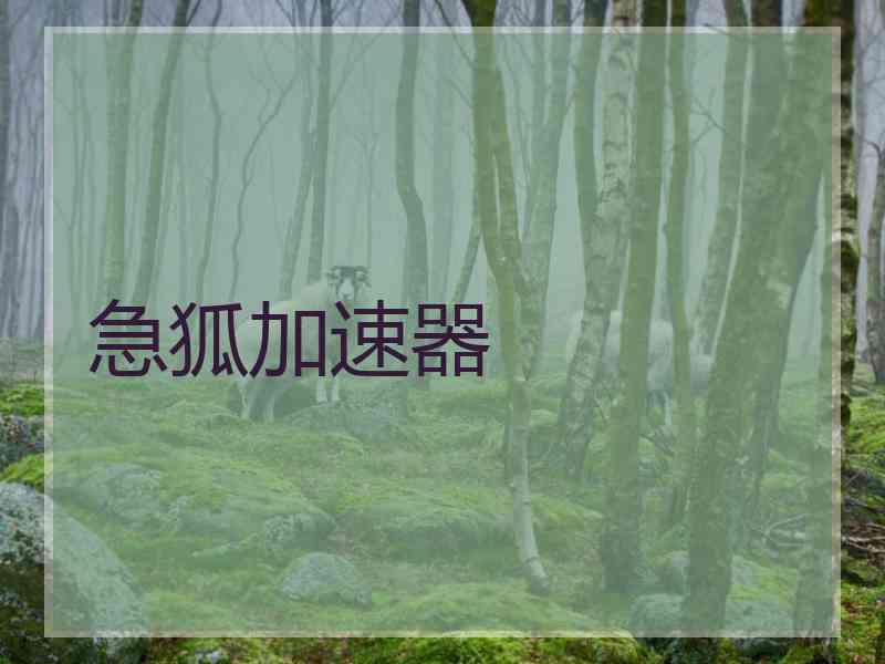 急狐加速器