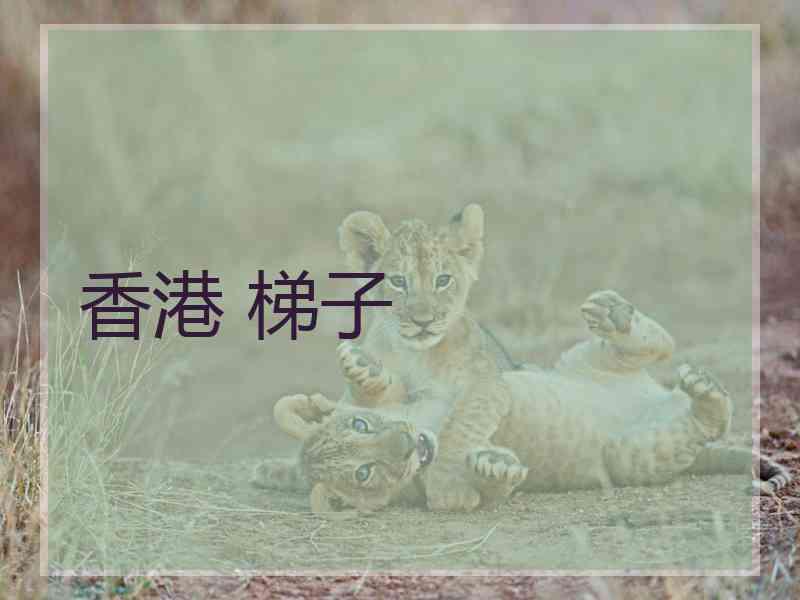 香港 梯子