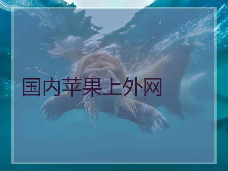 国内苹果上外网