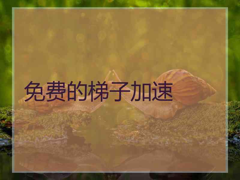 免费的梯子加速