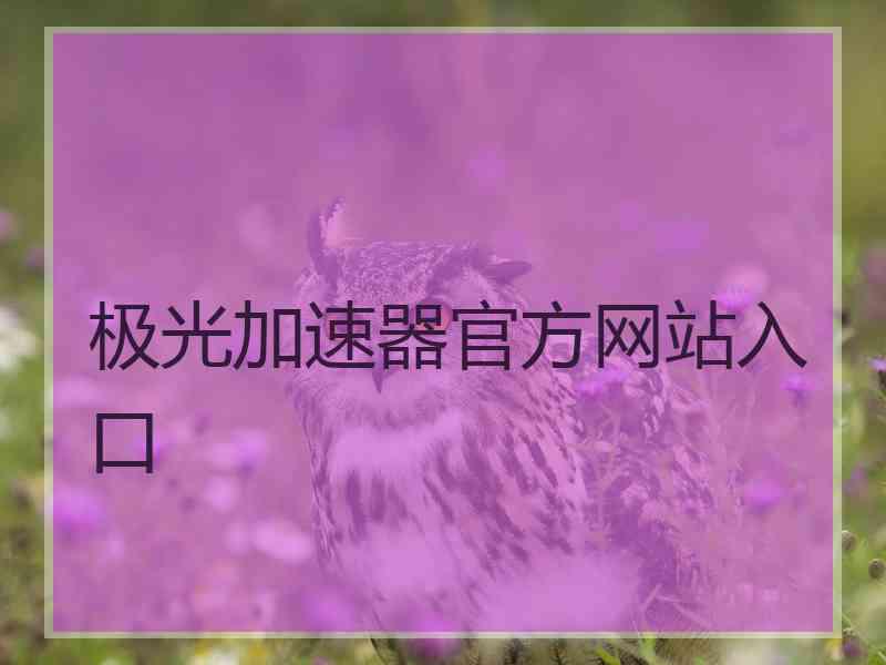 极光加速器官方网站入口