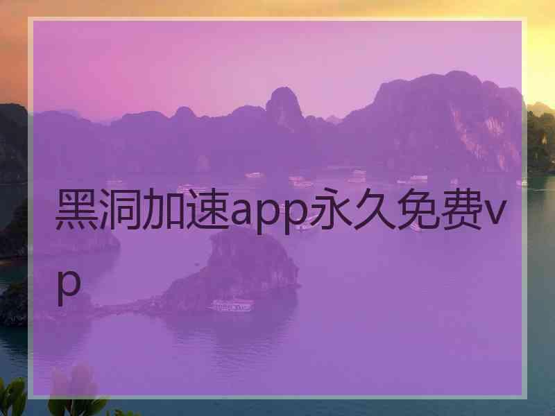 黑洞加速app永久免费vp