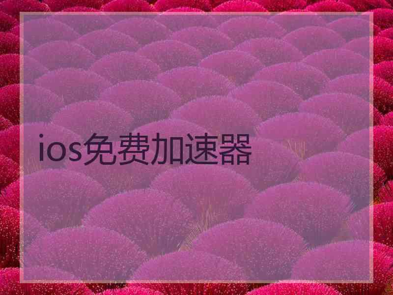 ios免费加速器