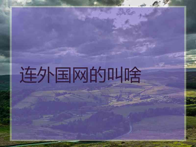 连外国网的叫啥