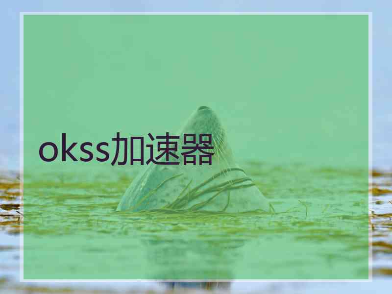 okss加速器