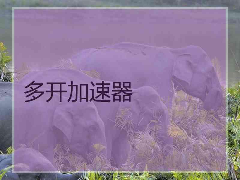 多开加速器